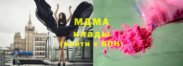 spice Богородск
