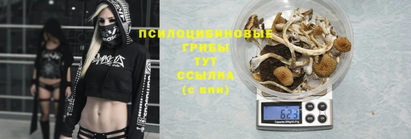 круглые Богородицк