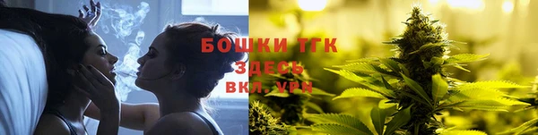 spice Богородск