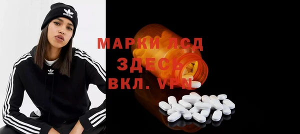 spice Богородск