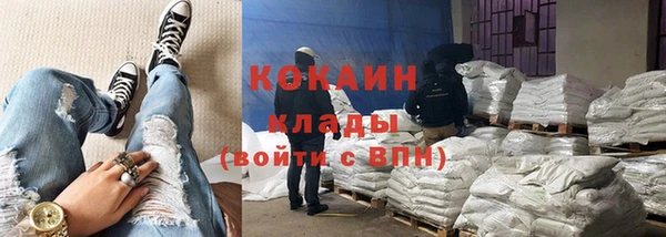 spice Богородск