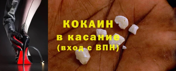 spice Богородск